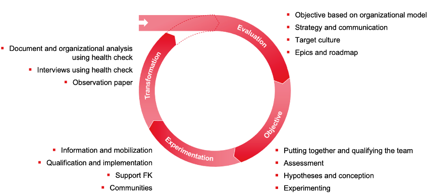 Tasks-in-transformationprocess